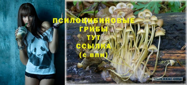 бутират Усмань