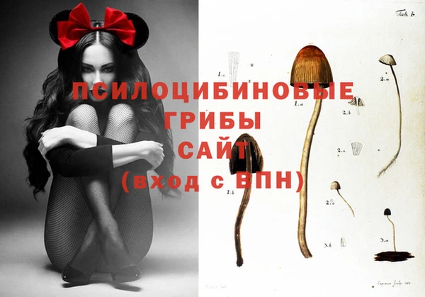 гашишное масло Елабуга
