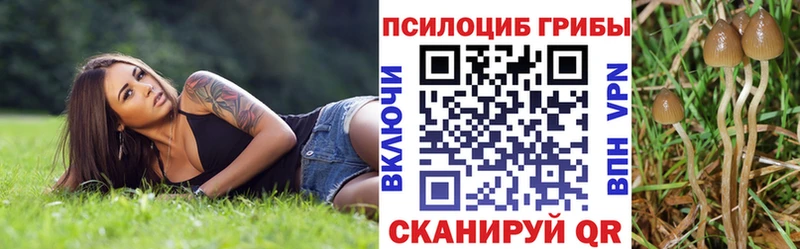 закладка МЕГА маркетплейс Псилоцибиновые грибы Cubensis Заволжье