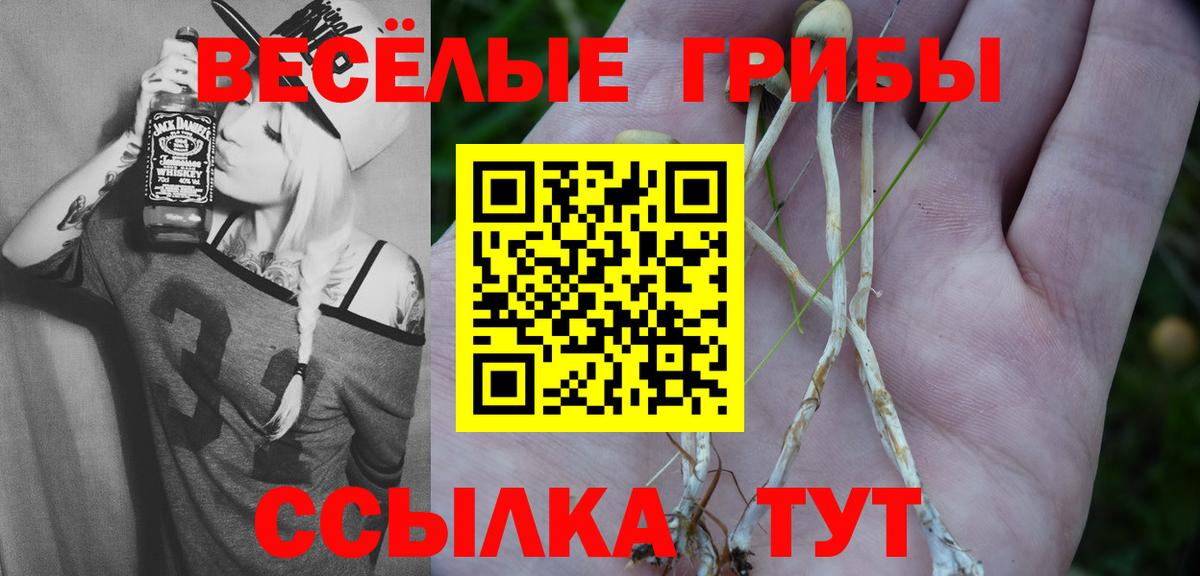 ТГК Заволжье