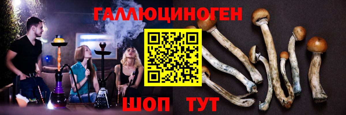 Псилоцибиновые грибы прущие грибы Заволжье